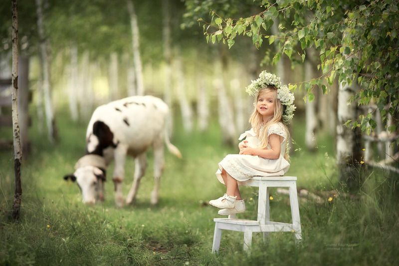 В березовой рощеphoto preview