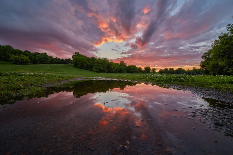 закат, парк, отражение, лужа, свет, красота, Коломенское  Просто лужа в паркеphoto preview