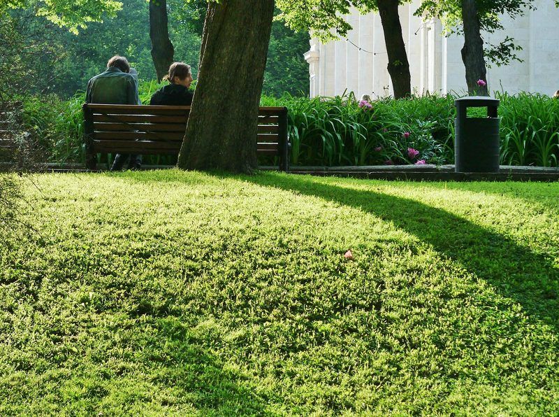 green-IIphoto preview