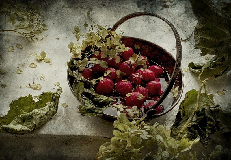 боярышник, дождь, ваза, листья, осень Боярышникphoto preview