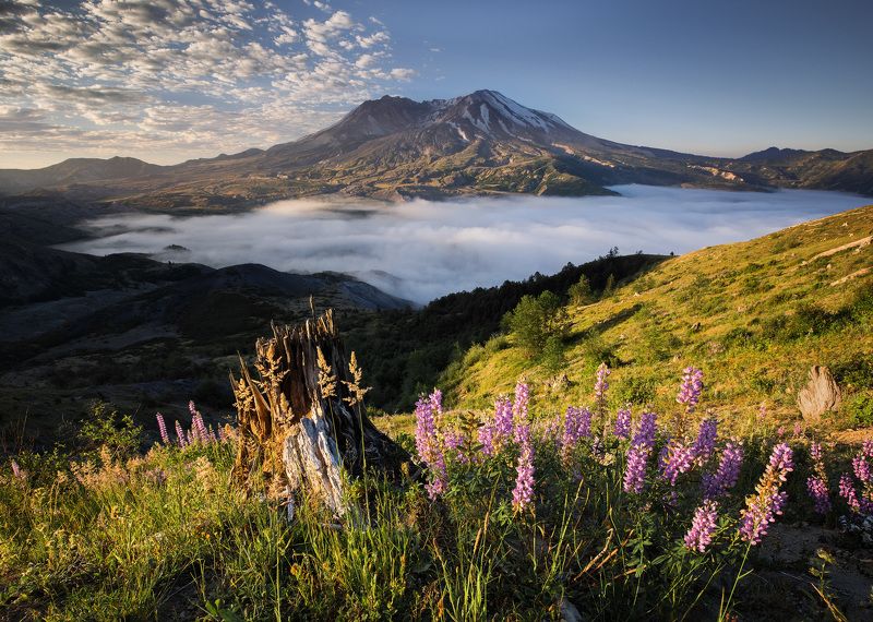 mountain Pure Mountain Morningphoto preview