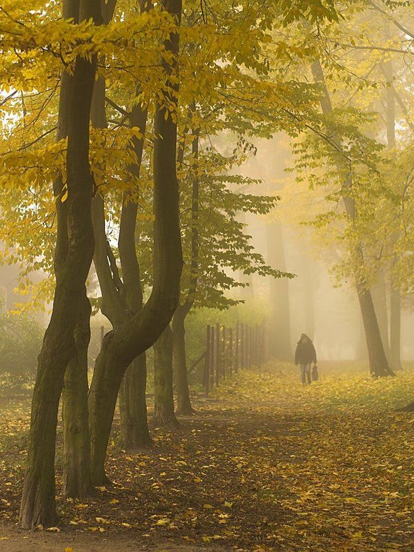 w miejskim parkuphoto preview