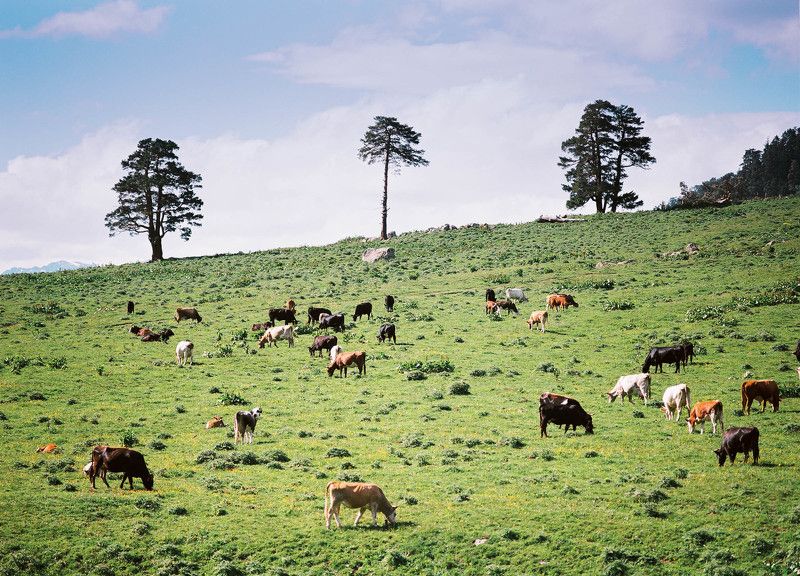Зарисовки Архыза.photo preview