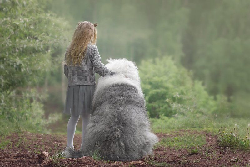 Прогулка с другомphoto preview