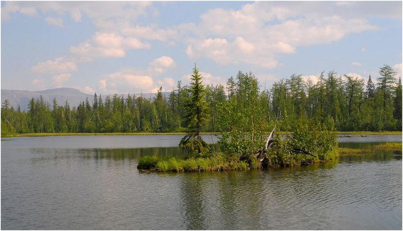 Таймыр,июль,лето Про островкиphoto preview