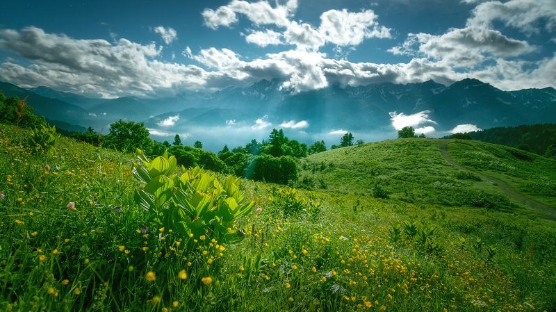 Волшебная ночьphoto preview