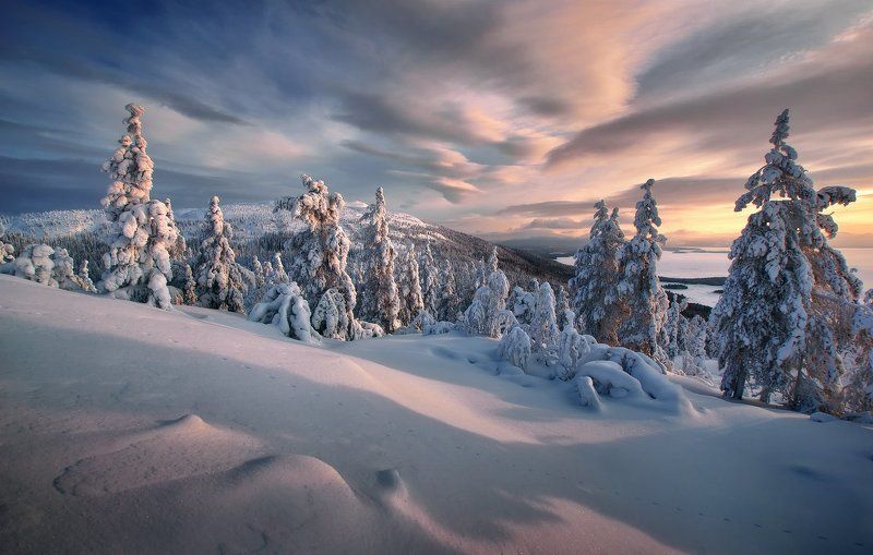 кольский полуостров, мурманская,кандалакша Лапландская зимаphoto preview