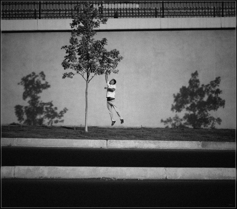 Созрел фото превью