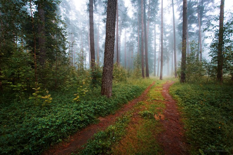 Прекрасное далёко...photo preview