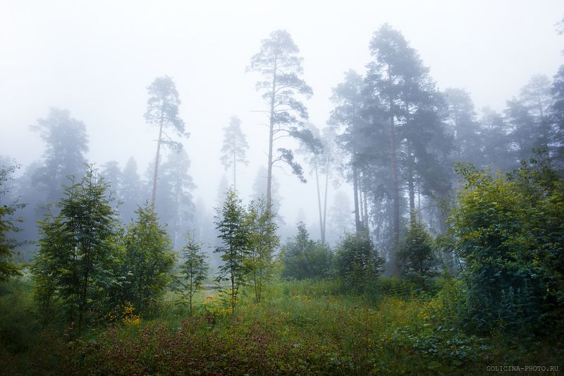 Атлантыphoto preview