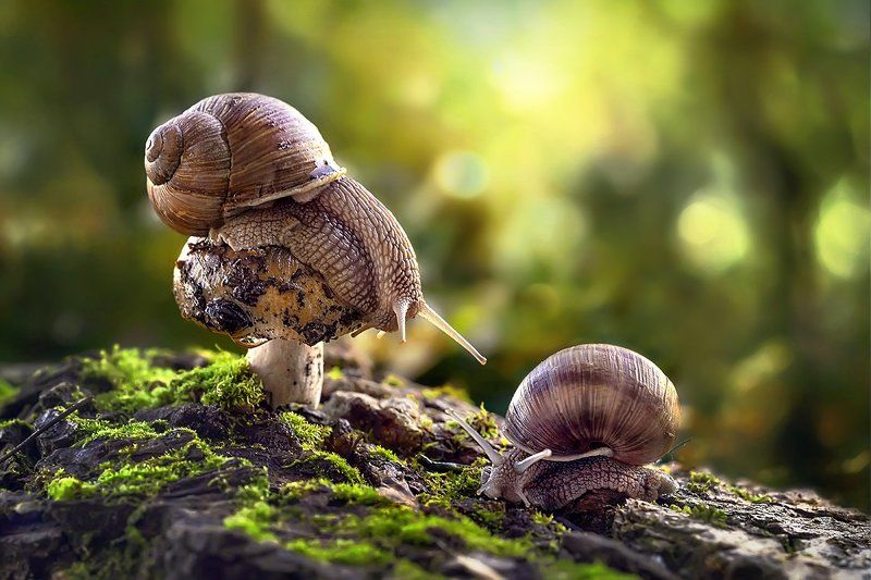 Свиданиеphoto preview