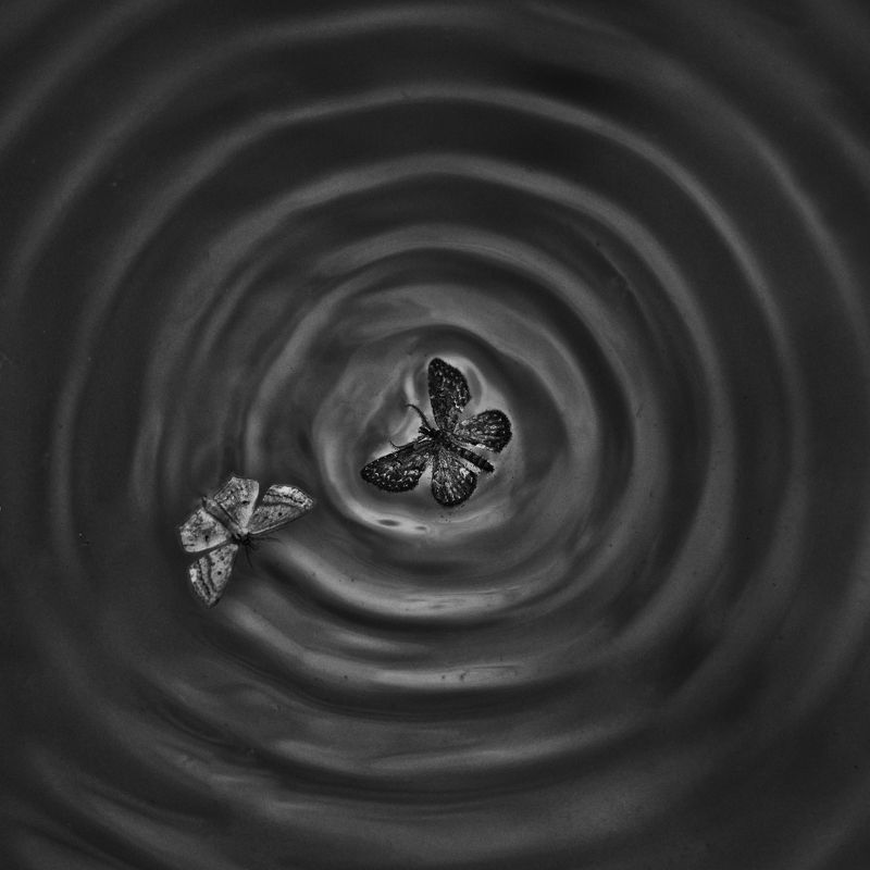 Gravityphoto preview