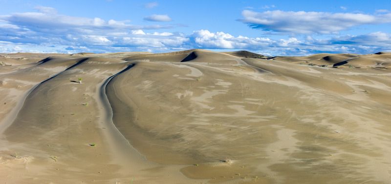 после дождяphoto preview