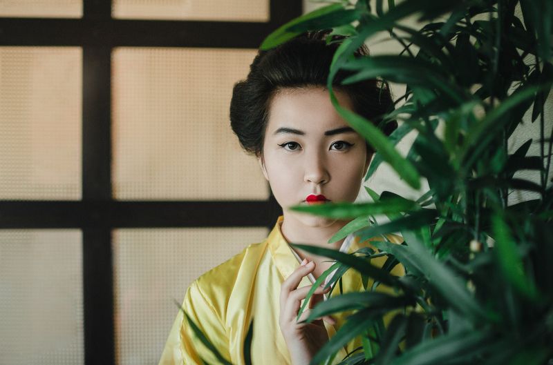 Портфолиоphoto preview