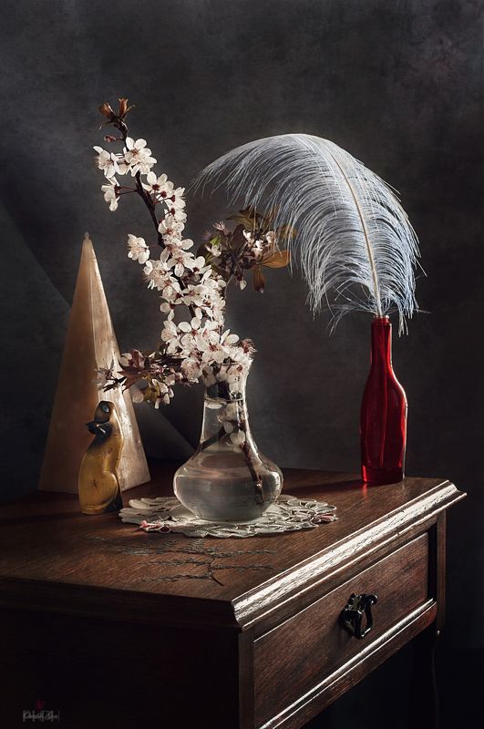 любопытствоphoto preview