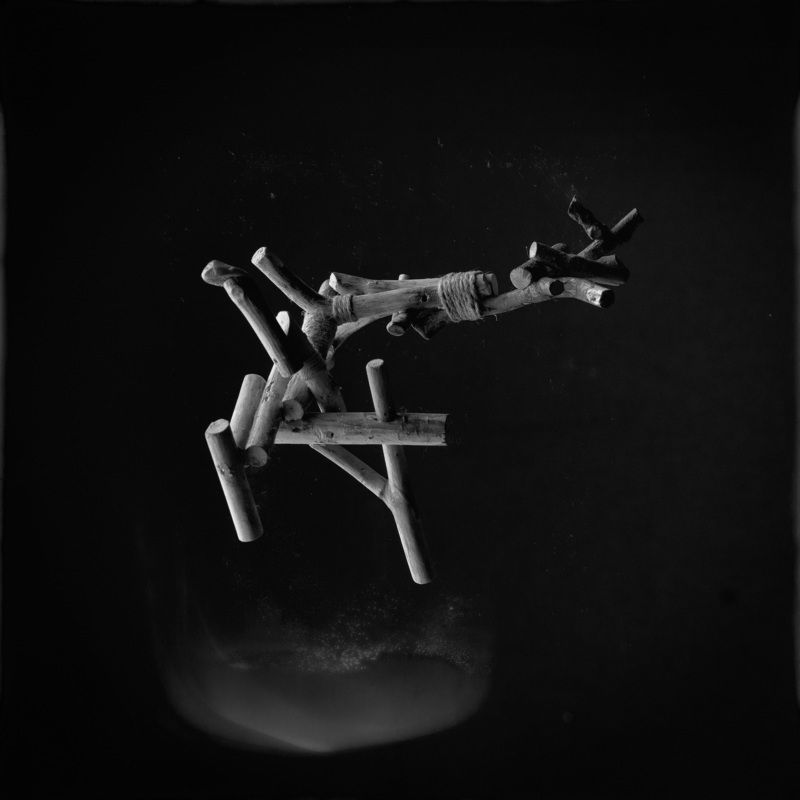 ph. «раненая косуля» …photo preview