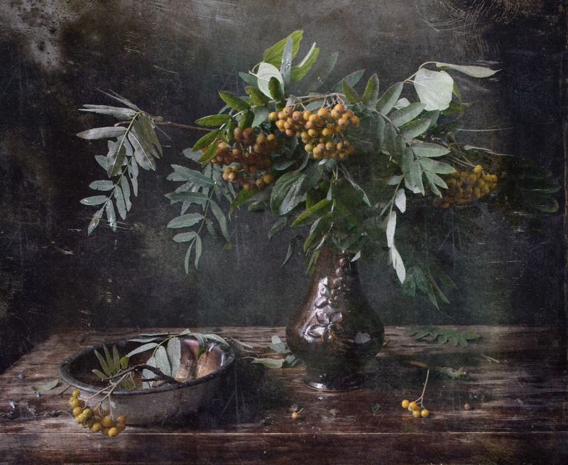 рябина Рябинаphoto preview