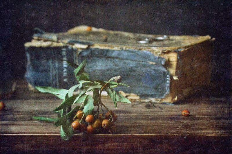 рябина, книга С рябинойphoto preview