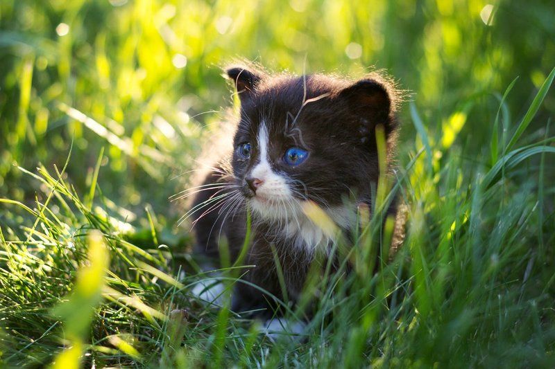 Первый день без мамы...photo preview