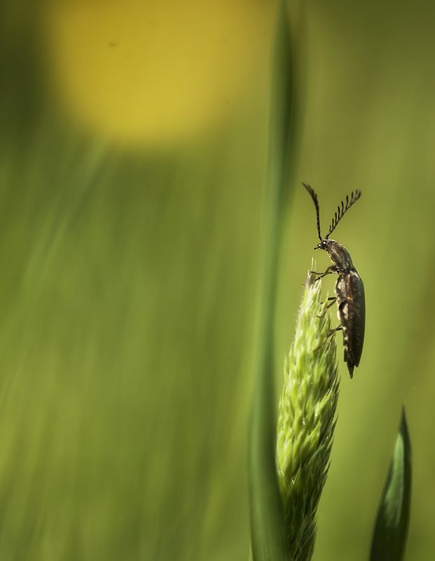 ..эгеййй,лето,ты где..??photo preview