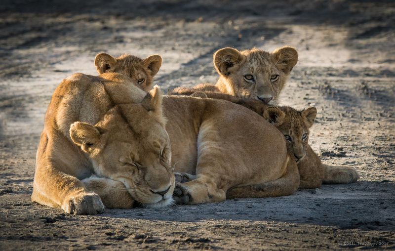 Под маминой защитойphoto preview