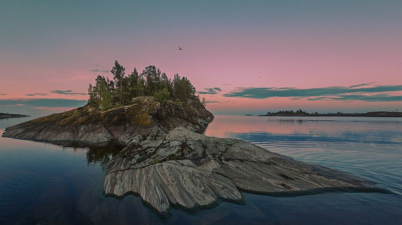 Ладога птица белая ночь островок шхеры Две птицы.photo preview