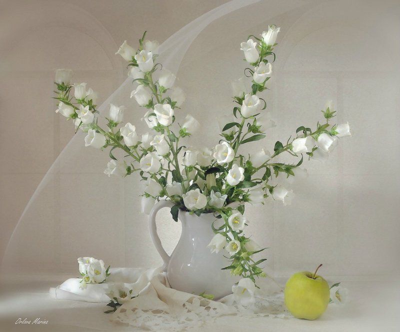 лето цветы утро С белыми колокольчикамиphoto preview