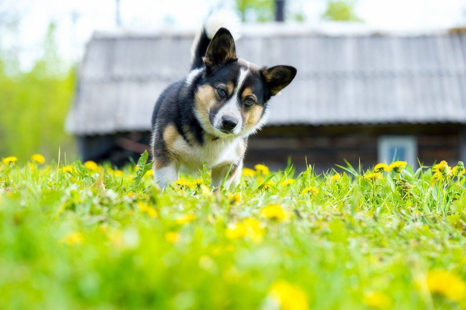 , Устюжанин Михаил