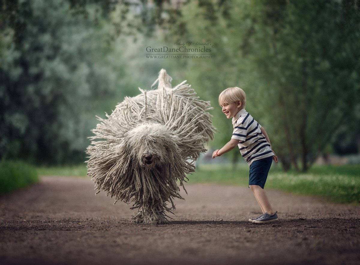 RETURN OF THE FLYING MOP. Автор: Андрей Селиверстов , Андрей Селиверстов