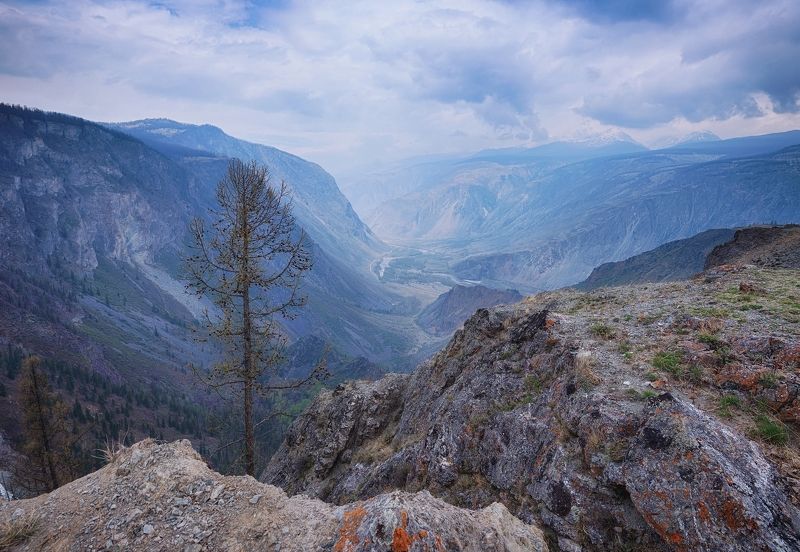 алтай, кату-ярык Хмурый Кату-ярыкphoto preview