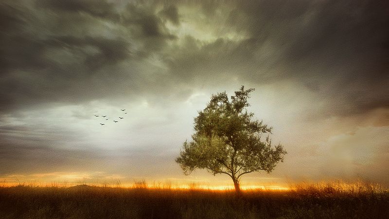 Вечерелоphoto preview