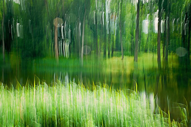 Nature photo, photography, art photo Rhythmsphoto preview