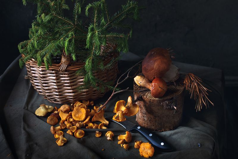 Вечерело фото превью