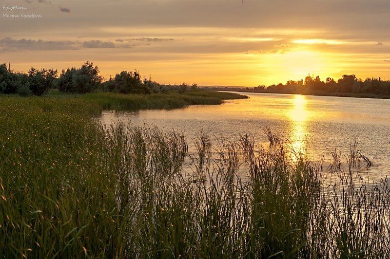 природа,пейзаж,донской пейзаж,закат,дон,река, Золотой закат.photo preview