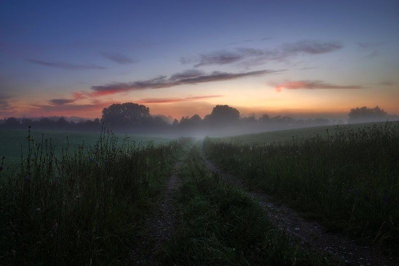 Walking in the mistphoto preview