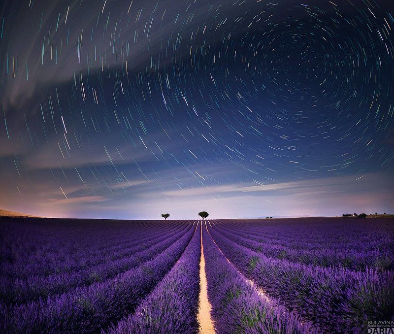лавандовое поле,  лаванда,  прованс, франция, звезды,  звездное небо Лавандовые поля Провансаphoto preview