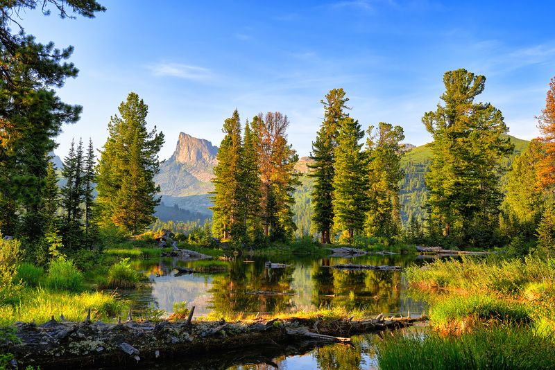 Вечер у небольшого озеркаphoto preview