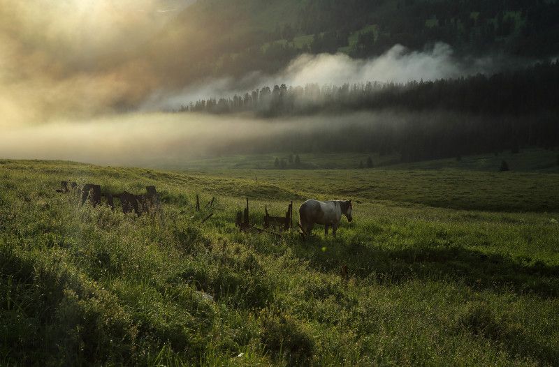 Altai Mt.photo preview