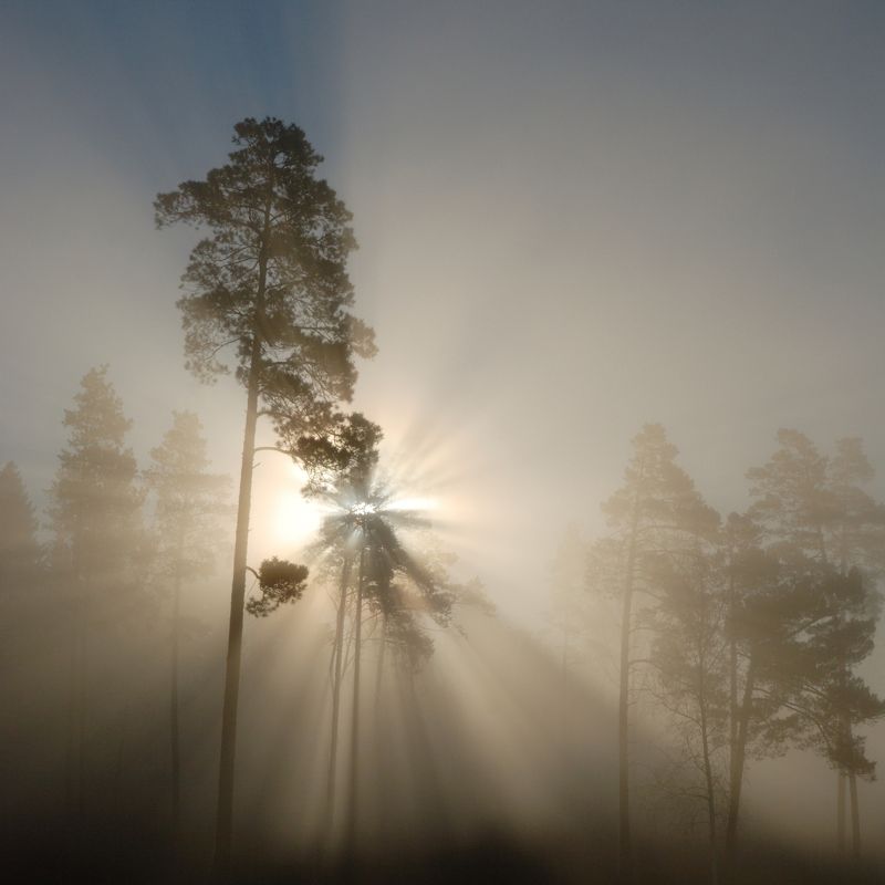 туман Ночь пройдет, наступит утро ясное... Солнце взойдет!photo preview