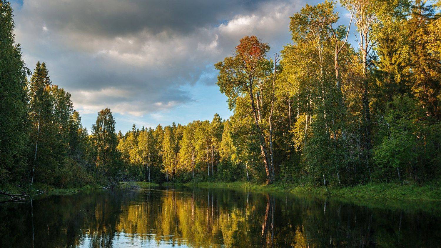 великий двор,вологодчина,кема,север,лето,, Роман Горячий