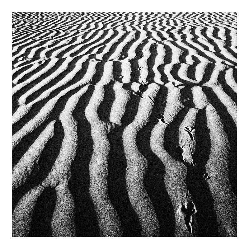 black and white, ч/б, жанр, черное и белое Black & Whitephoto preview