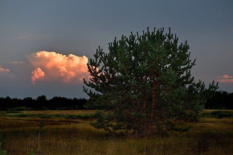 баскаки., тверская, область. *****photo preview