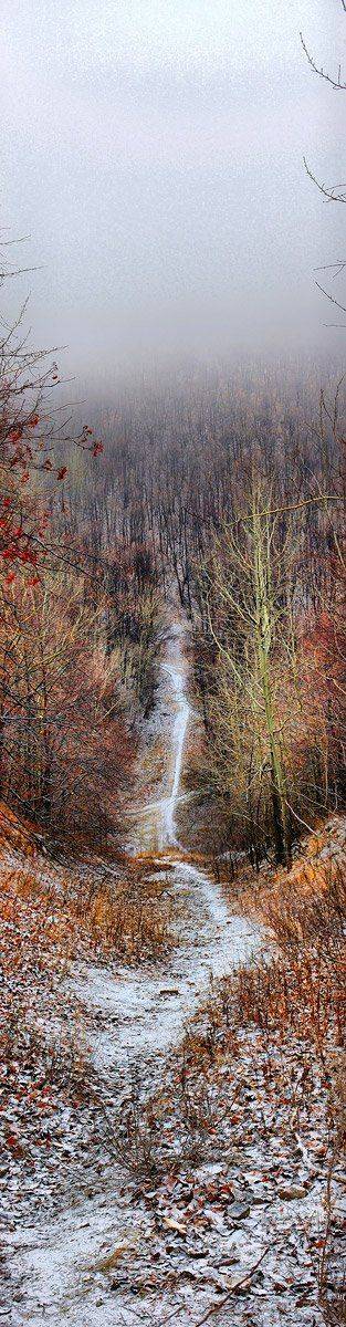 Первый день зимы. Автор: Дмитрий Журавлев , Дмитрий Журавлев