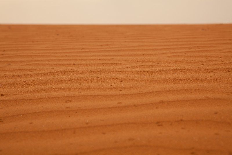 сахара, пустыня, марокко Ливень в Сахареphoto preview