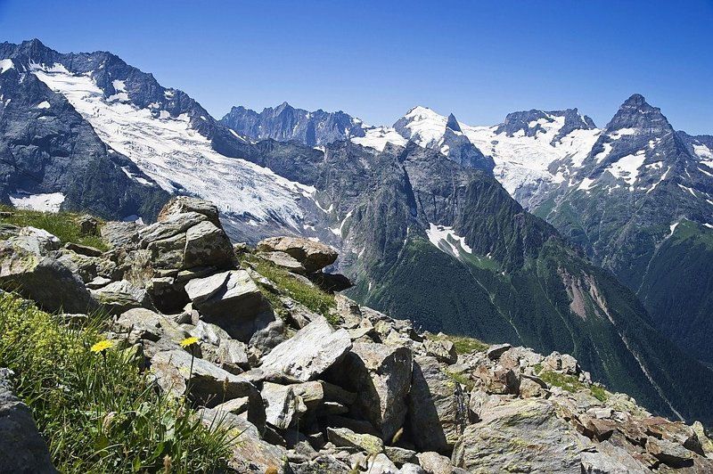 домбай, горы, камни, ледник, цветы ***photo preview