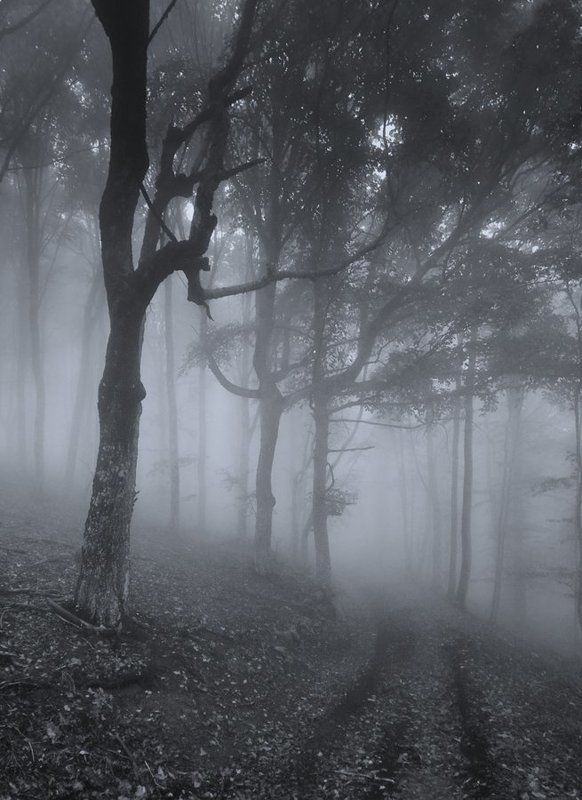 Сонная лощинаphoto preview