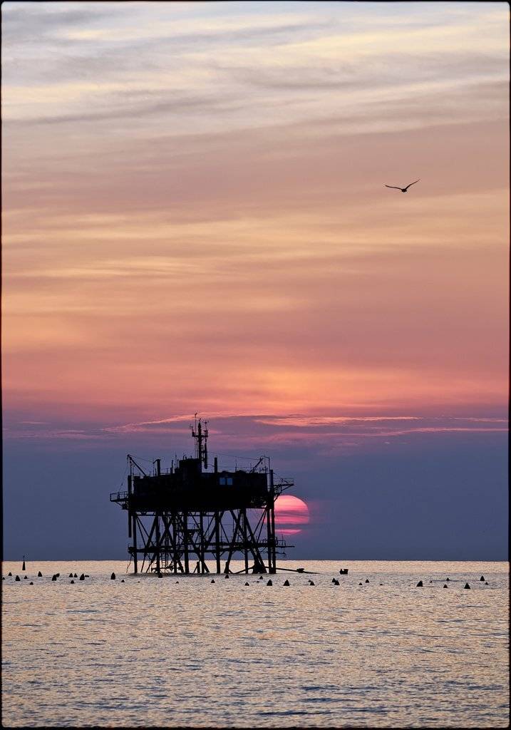 Рассвет в Кацивели. Автор: Лариса Гурьева крым, кацивели, Лариса Гурьева