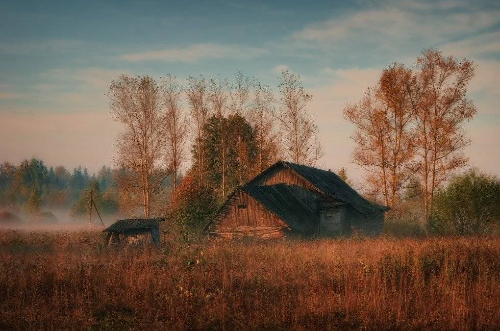 , Владимир Липецких