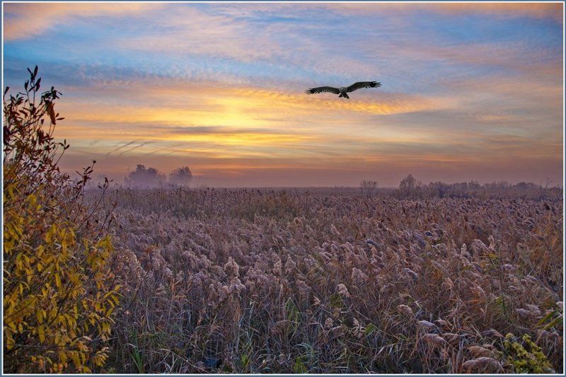 Начало нового дня.photo preview