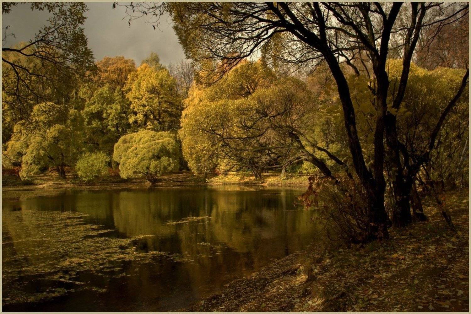 *. Автор: пленAIR , пленAIR